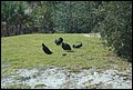 Kennedy Space Center 2007-42.JPG