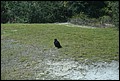 Kennedy Space Center 2007-43.JPG