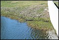 Kennedy Space Center 2007-56.JPG