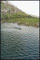 Kennedy Space Center 2007-59.JPG