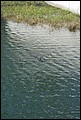 Kennedy Space Center 2007-60.JPG