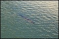 Kennedy Space Center 2007-61.JPG