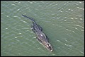 Kennedy Space Center 2007-63.JPG