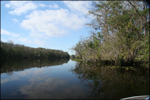 St Johns River 2007-005.JPG