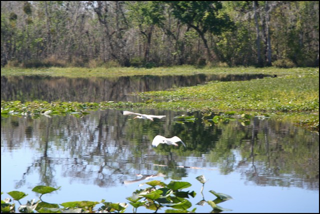 St Johns River 2007-037.JPG
