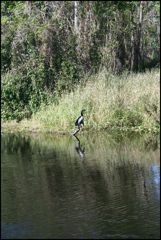 St Johns River 2007-043.JPG