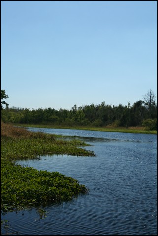 St Johns River 2007-058.JPG