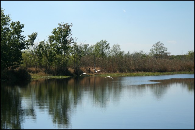 St Johns River 2007-066.JPG