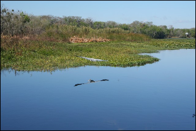 St Johns River 2007-072.JPG