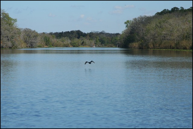 St Johns River 2007-073.JPG
