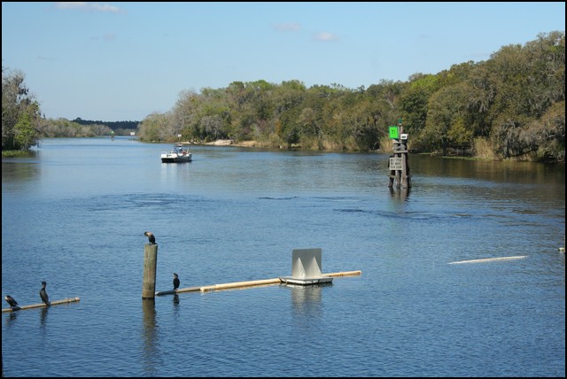 St Johns River 2007-079.JPG