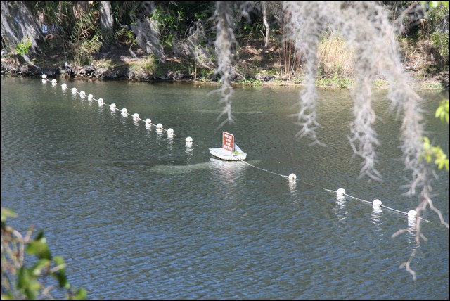 St Johns River 2007-082.JPG