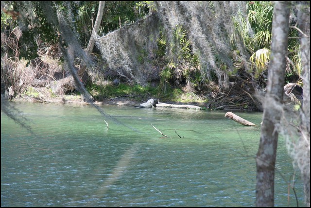 St Johns River 2007-085.JPG