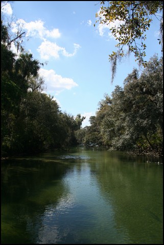 St Johns River 2007-104.JPG