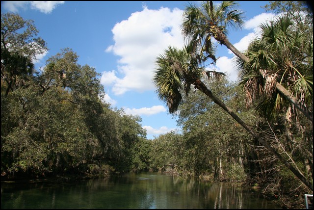 St Johns River 2007-105.JPG
