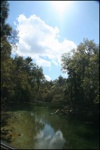 St Johns River 2007-107.JPG