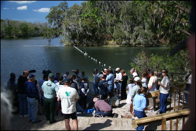 St Johns River 2007-111.JPG