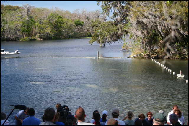 St Johns River 2007-114.JPG