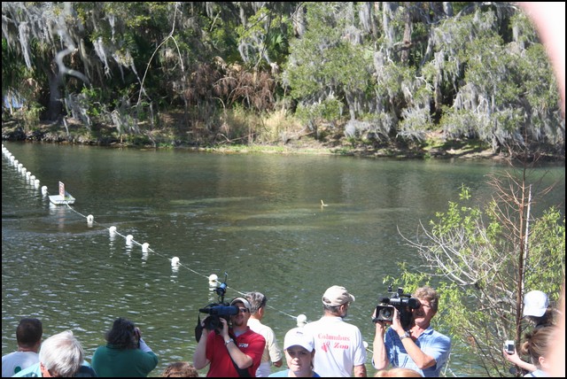 St Johns River 2007-115.JPG
