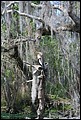 St Johns River 2007-004.JPG