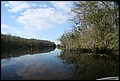 St Johns River 2007-005.JPG