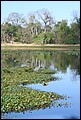 St Johns River 2007-008.JPG