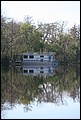 St Johns River 2007-012.JPG
