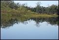 St Johns River 2007-013.JPG