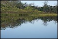 St Johns River 2007-014.JPG