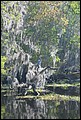 St Johns River 2007-029.JPG