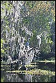 St Johns River 2007-030.JPG