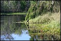 St Johns River 2007-042.JPG