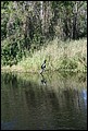 St Johns River 2007-043.JPG