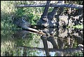 St Johns River 2007-050.JPG