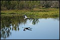 St Johns River 2007-054.JPG