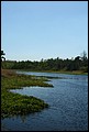 St Johns River 2007-058.JPG