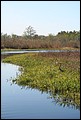 St Johns River 2007-062.JPG