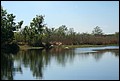 St Johns River 2007-066.JPG