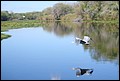 St Johns River 2007-071.JPG