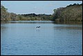 St Johns River 2007-073.JPG