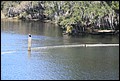 St Johns River 2007-077.JPG