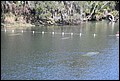 St Johns River 2007-078.JPG