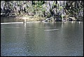 St Johns River 2007-080.JPG