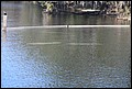 St Johns River 2007-081.JPG