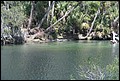 St Johns River 2007-083.JPG