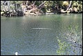 St Johns River 2007-084.JPG