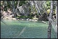 St Johns River 2007-085.JPG