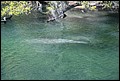 St Johns River 2007-086.JPG