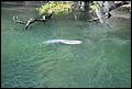 St Johns River 2007-087.JPG