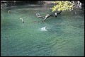 St Johns River 2007-088.JPG